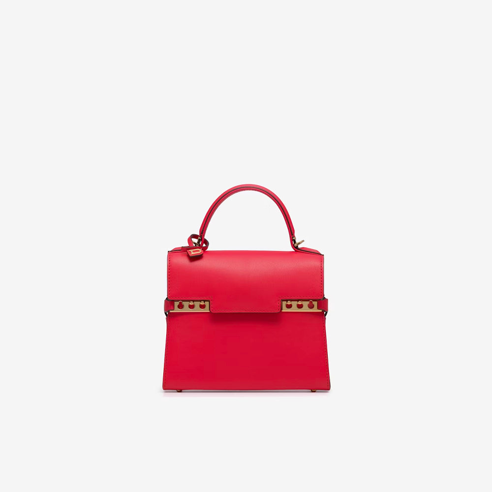 Delvaux Tempête 小號絲滑小牛皮（天鵝絨）