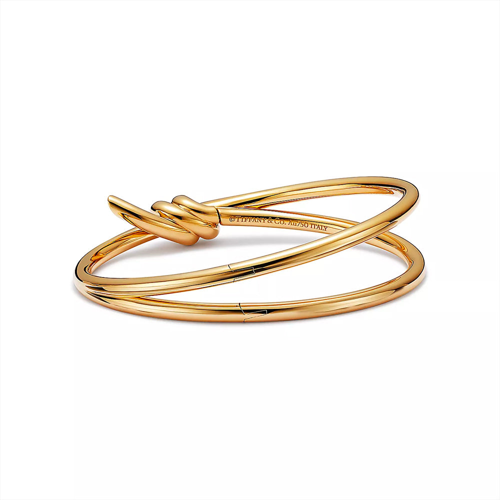 Tiffany & Co. 蒂芬妮結雙排鉸鏈黃金手鐲