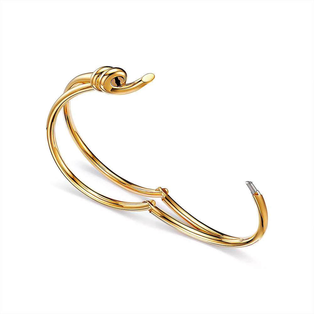 Tiffany & Co. 蒂芬妮結雙排鉸鏈黃金手鐲
