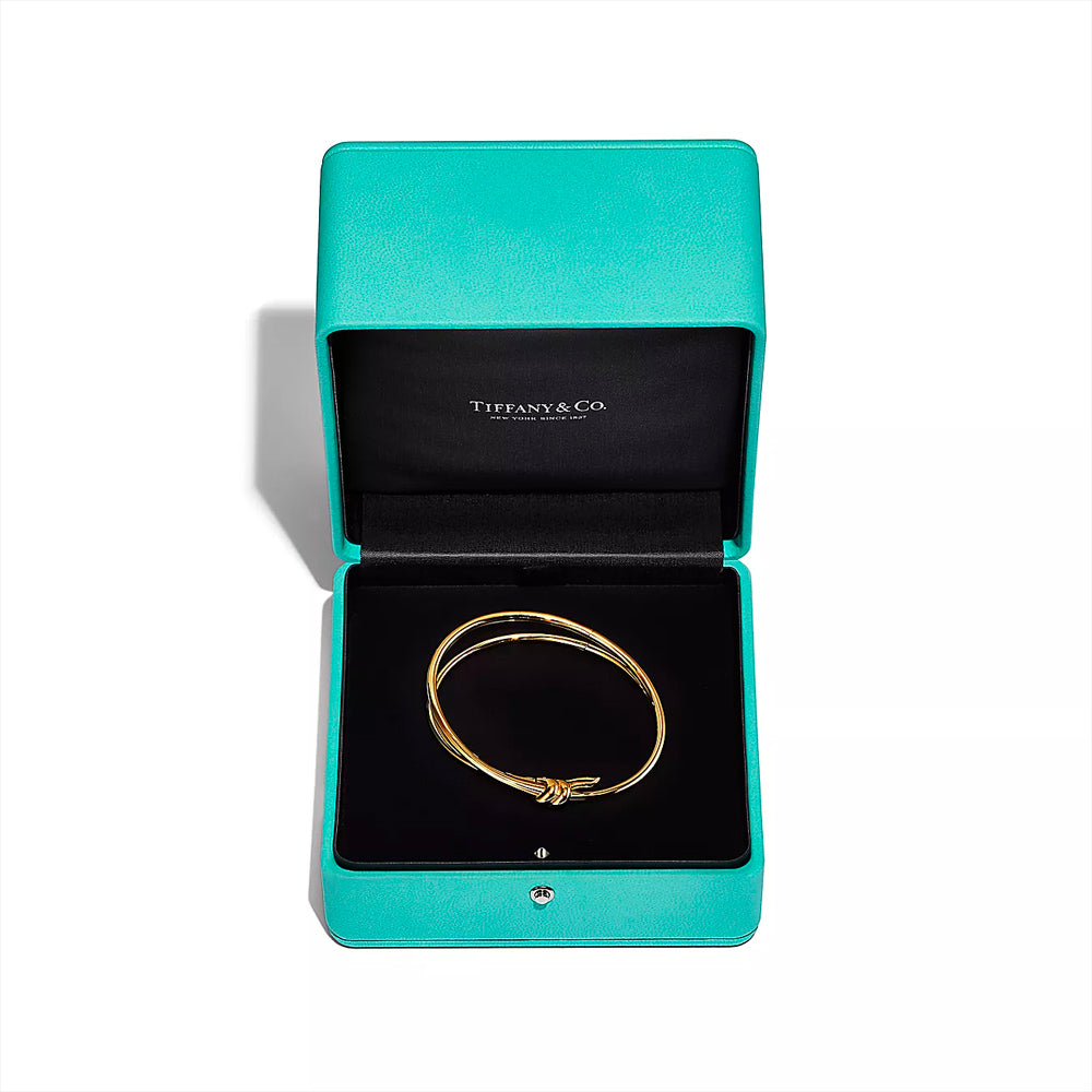 Tiffany & Co. 蒂芬妮結雙排鉸鏈黃金手鐲