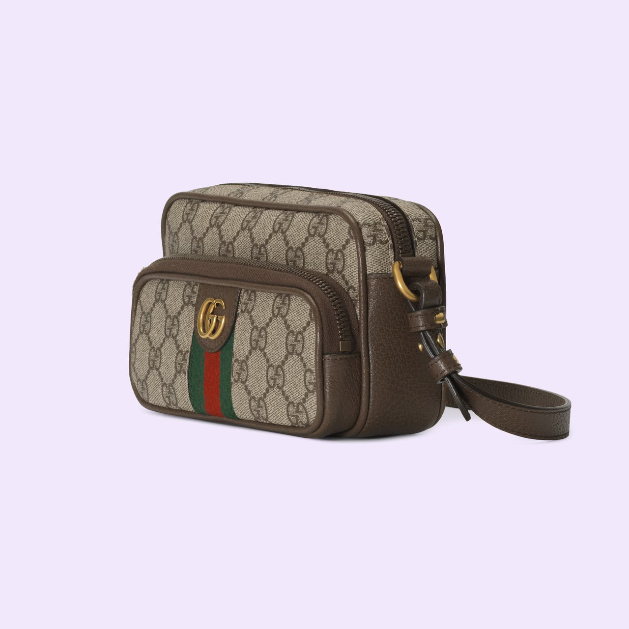 Gucci Ophidia Mini Bag (Beige & Ebony)